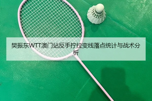 樊振东WTT澳门站反手拧拉变线落点统计与战术分析