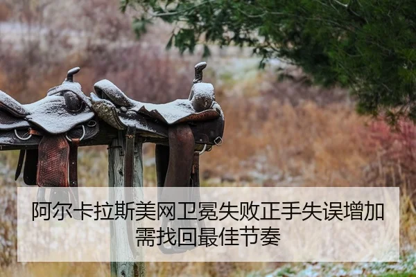 a-er-ka-la-si-mei-wang-wei-mian-shi-bai-zheng-shou-shi-wu-zeng-jia-xu-zhao-hui-zui-jia-jie-zou-2-200.jpg