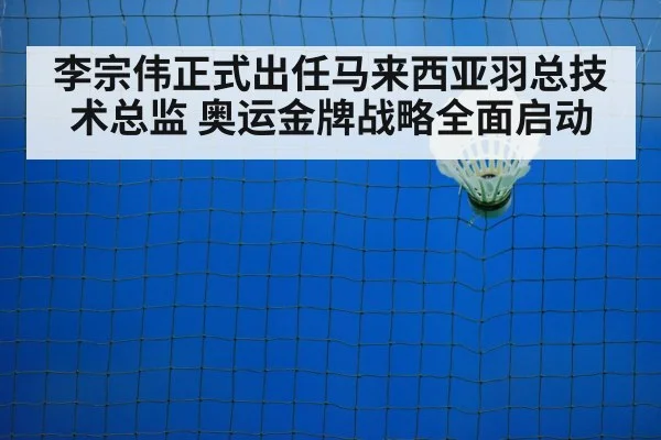 badminton training court